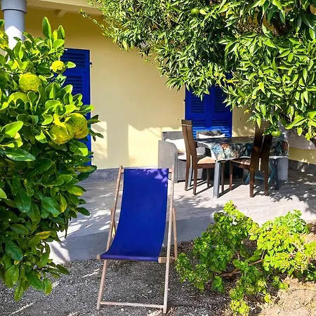 Duplex 3 Avec Jardin A *
