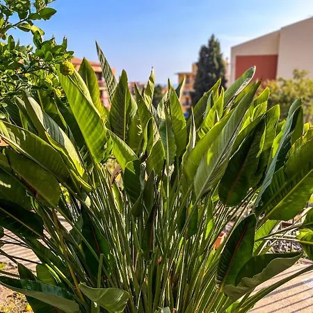 Apartment Duplex 3 Avec Jardin A *